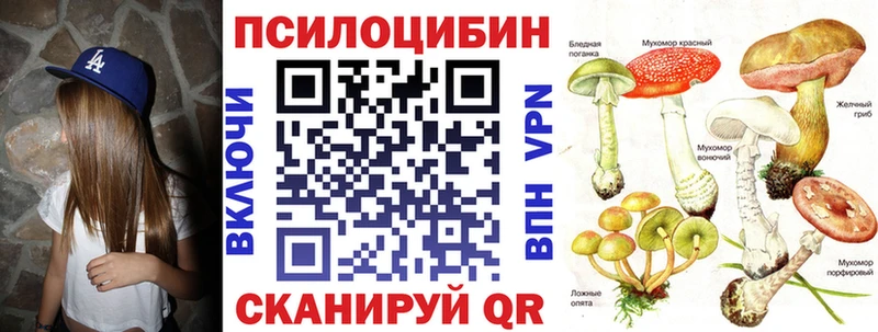 Купить где  Александровское  Галлюциногенные грибы GOLDEN TEACHER 